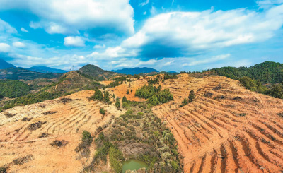 近年來，江西省撫州市南豐縣市山鎮(zhèn)竹源村因地制宜扶持當?shù)剞r(nóng)戶利用荒山坡地種植油茶，使油茶成為山區(qū)群眾致富奔小康的綠色產(chǎn)業(yè)。圖為竹源村油茶種植區(qū)。 謝 東攝（人民視覺）