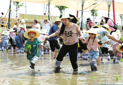 點(diǎn)擊放大