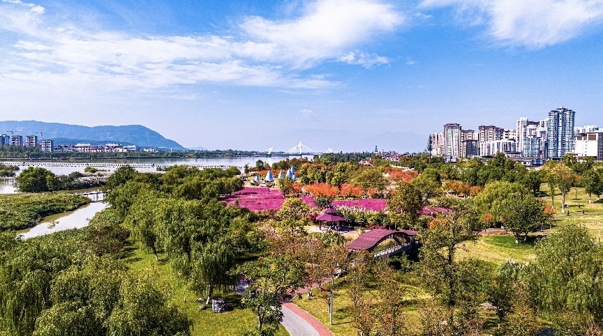 步入公園，仿佛走進(jìn)“色彩的世界”。王淦攝（資料圖片）